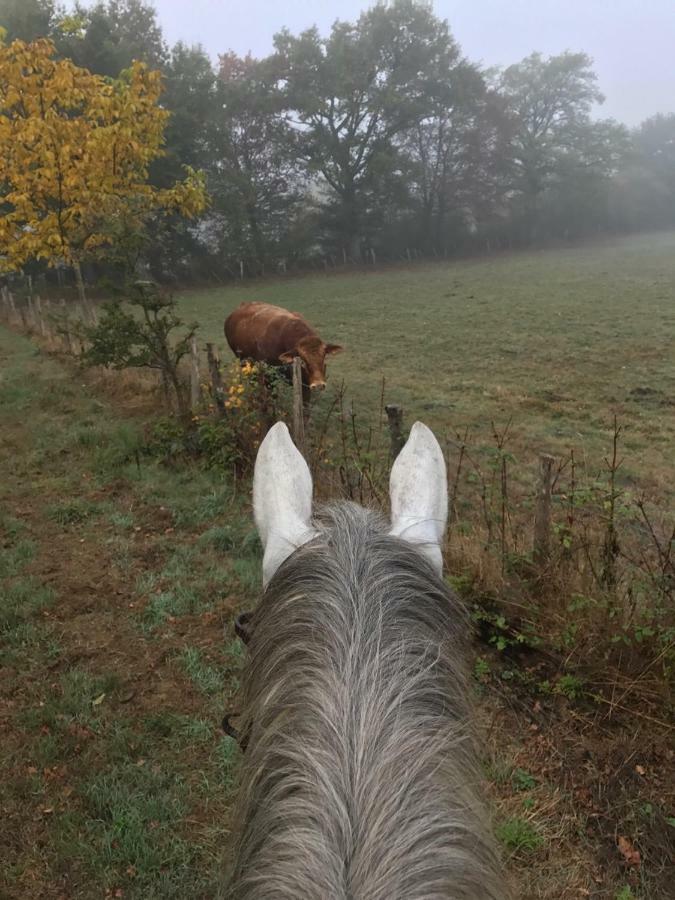 Ferme Gite Equestre En Charente กงโฟลองส์ ภายนอก รูปภาพ