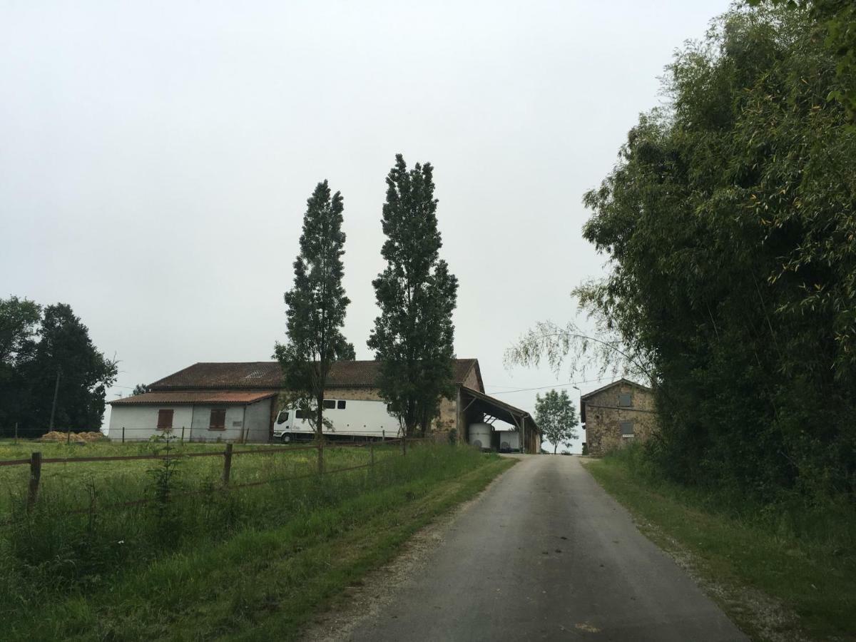 Ferme Gite Equestre En Charente กงโฟลองส์ ภายนอก รูปภาพ