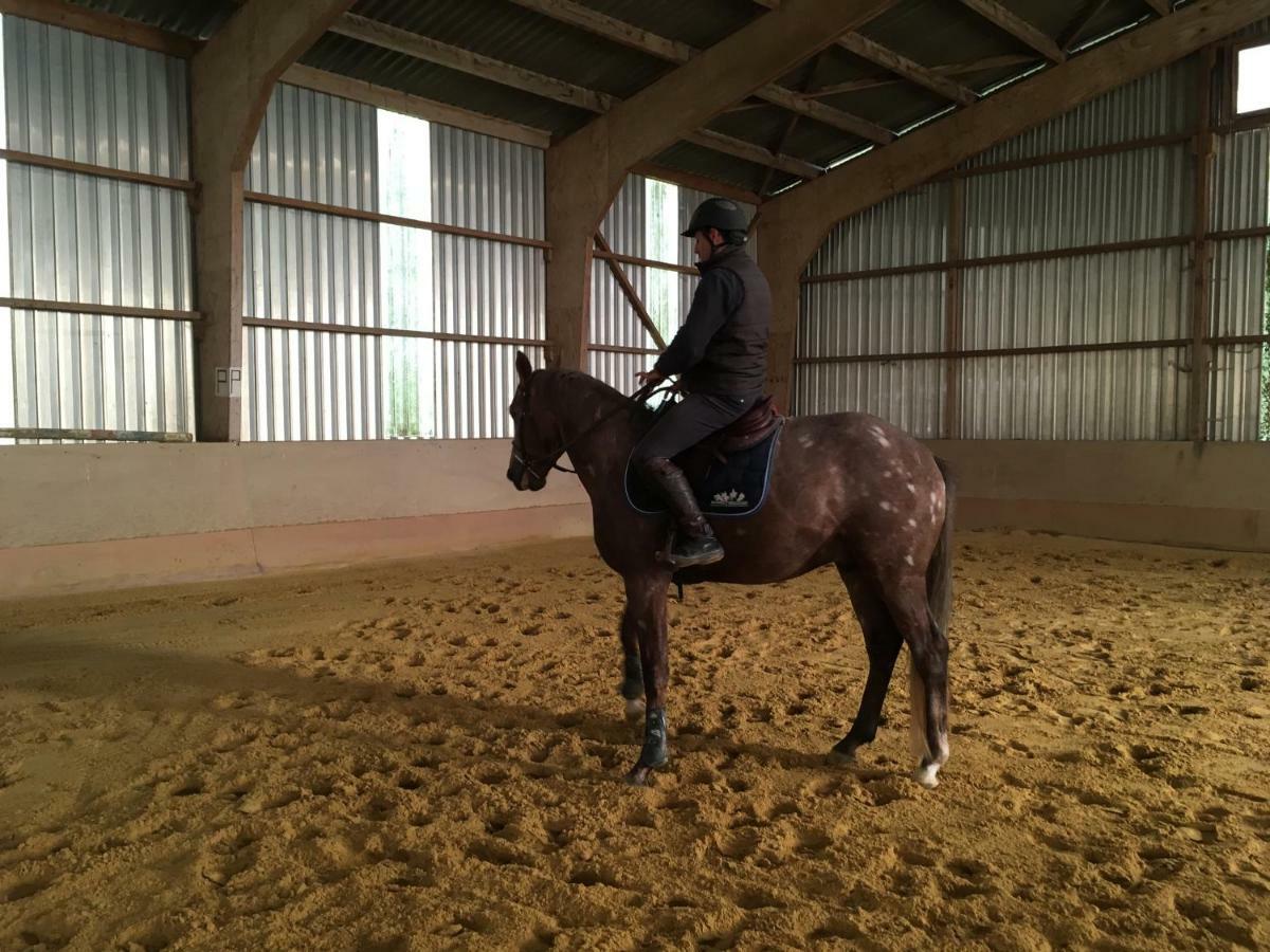 Ferme Gite Equestre En Charente กงโฟลองส์ ภายนอก รูปภาพ